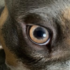 Meet your Posher, Chad